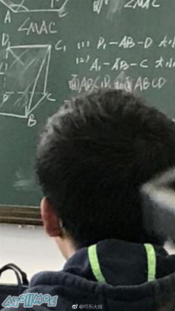 9051d0dfa40a280.jpg