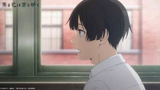 a978ae52a649088bea84f764f54b0312_kaoru05_resize=640,360&ssl=1.png