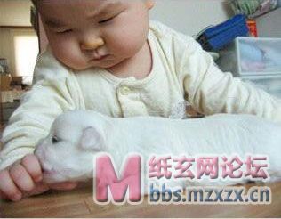 开始打量小狗.jpg