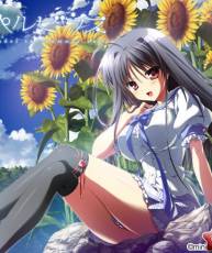 [121221][minori]夏空のペルセウス「Summer Sky」+「Sunflower」[320+BK]