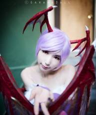 Momoren Cosplay Lilith Darkstalkers[36P]