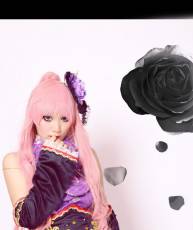 【贴图】VOCALOID 龙啼ク箱庭拠リ（5P）