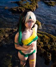 Savage Land Rogue Cosplay(19P)