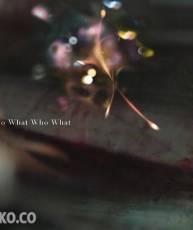 [150114] 劇場版「PSYCHO-PASS」主題歌「Who What Who What」／凛として時雨 (320K)