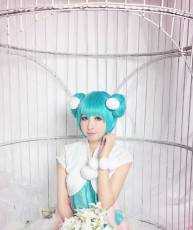 【贴图】 动物占卜  初音未来 【12P】
