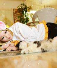 【贴图】V+ 猫装RIN（7P）