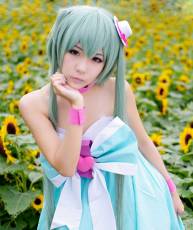 【贴图】世界第一公主殿下  初音【12P】